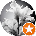 Blanca Iris Firmstone profile picture